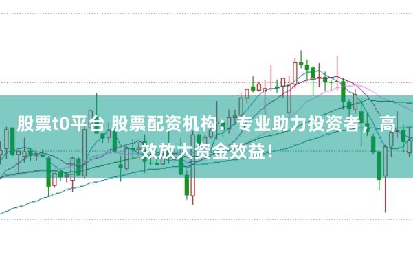 股票t0平台 股票配资机构：专业助力投资者，高效放大资金效益！