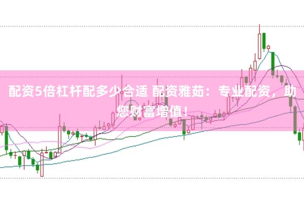 配资5倍杠杆配多少合适 配资雅茹：专业配资，助您财富增值！
