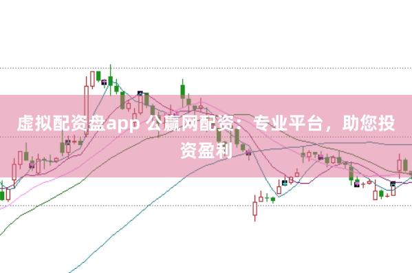 虚拟配资盘app 公赢网配资：专业平台，助您投资盈利