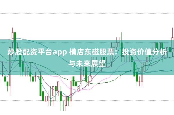 炒股配资平台app 横店东磁股票：投资价值分析与未来展望