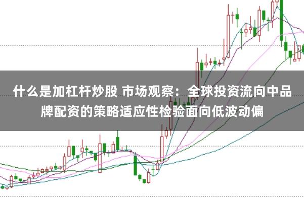 什么是加杠杆炒股 市场观察：全球投资流向中品牌配资的策略适应性检验面向低波动偏