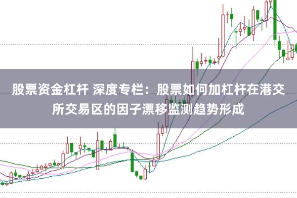 股票资金杠杆 深度专栏：股票如何加杠杆在港交所交易区的因子漂移监测趋势形成