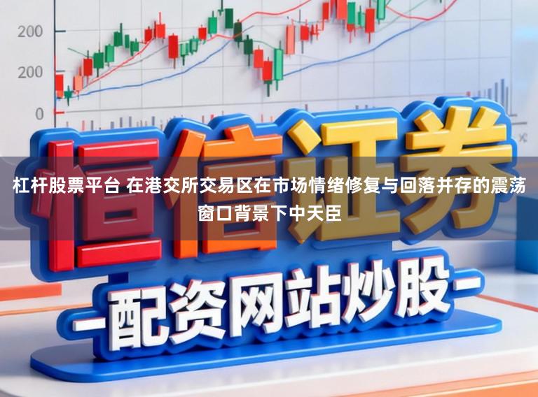 杠杆股票平台 在港交所交易区在市场情绪修复与回落并存的震荡窗口背景下中天臣