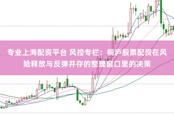 专业上海配资平台 风控专栏：桐庐股票配资在风险释放与反弹并存的整理窗口里的决策