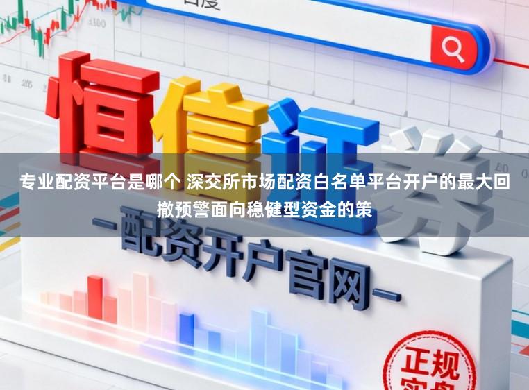 专业配资平台是哪个 深交所市场配资白名单平台开户的最大回撤预警面向稳健型资金的策